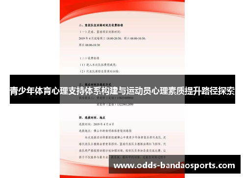 青少年体育心理支持体系构建与运动员心理素质提升路径探索