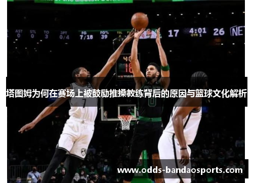 塔图姆为何在赛场上被鼓励推搡教练背后的原因与篮球文化解析